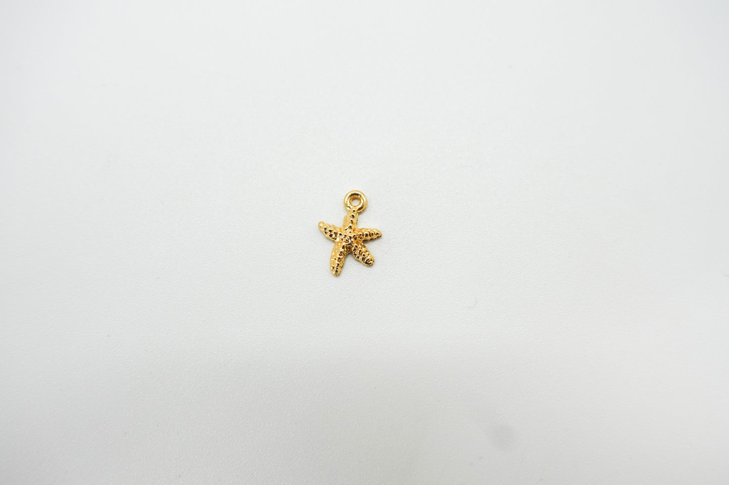 Estrella de Mar Dije