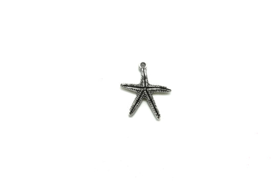 Dije Pewter Estrella de Mar